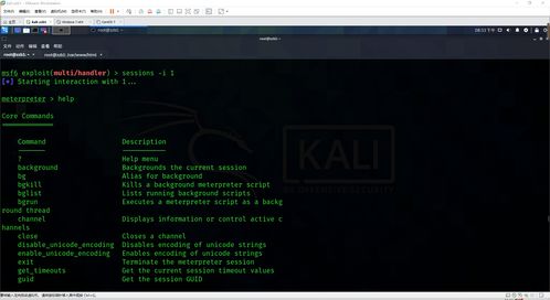 網(wǎng)絡(luò)安全滲透中的客戶端惡意軟件開(kāi)發(fā) Windows與Linux平臺(tái)